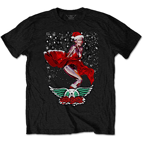 Aerosmith t-shirt, Robo Santa Black, men´s