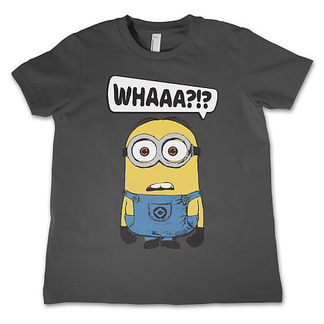 Despicable Me t-shirt, Whaaa?!? Kids Dark Grey, kids