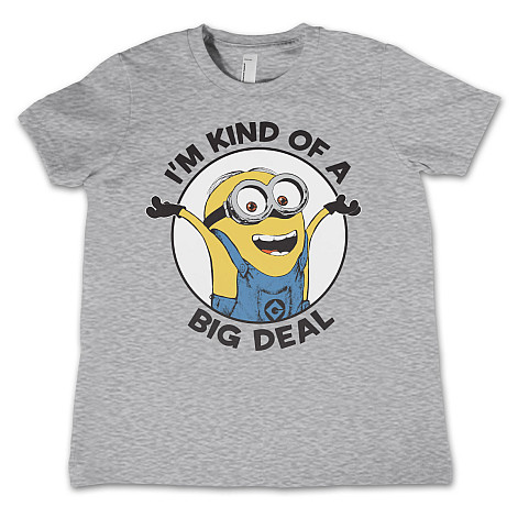 Despicable Me t-shirt, I'm Kind Of A Big Deal Kids Grey, kids