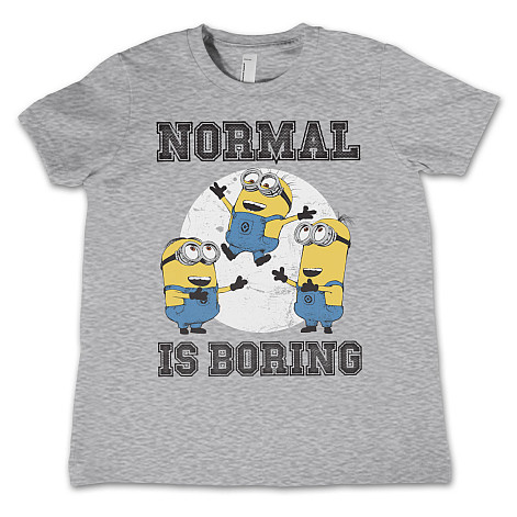 Despicable Me t-shirt, Normal Life Is Boring Kids Grey, kids