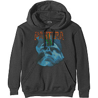 Pantera mikina, Far Beyond Driven World Tour Grey, men´s