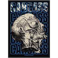 Carcass patch PES 100x50 mm, Necro Head
