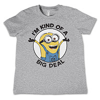 Despicable Me t-shirt, I'm Kind Of A Big Deal Kids Grey, kids