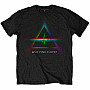 Pink Floyd t-shirt, Why, men´s